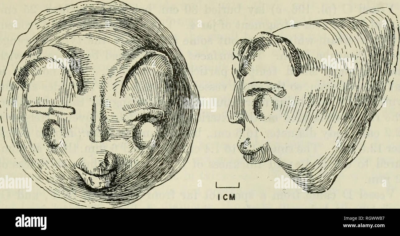 . Bulletin. De l'ethnologie. Et-EVANS] ARCHÉOLOGIE À L'EMBOUCHURE DE L'AMAZONE 489. Figure 175.-Phase d'Arua adorno zoomorphes de jar 24, M-5-Mulatinho. Entre 1,5 et 2,0 cm de diamètre, avec une incision 1,5 cm. de long et 2 mm de profondeur. Le nez measm-es 2.4 cm. de long, 7 mm de hauteur, et 7 mm de largeur. 25 jar est une autre base d'un grand bocal, gris clair contenant des saletés et de nombreux tessons. La base plate, 12 cm, de diamètre, jeter la tête en bas 30 cm. au-dessous de la sm-face. Les bateaux miniatures aU probablement originaire de l'intérieur ou à proximité des différents bols mais maintenant dispersés sur l'ensemble du site sont décrites en détail ci-dessous. Elles sont toutes Banque D'Images