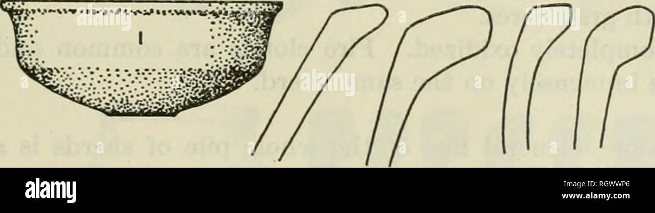. Bulletin. De l'ethnologie. MEOOERS ET EVANS] ARCHÉOLOGIE À L'EMBOUCHURE DE L'AMAZONE 447 formes : formes navire commun reconstruites à partir de tessons : 1. Carinated bol avec éversion, épaissie jante (fig. 162-1). Rim : épaissie extérieurement, éversion, habituellement avec un sommet aplati et arrondi à la lèvre. Télévision haut 1,3 à 2,0 cm. de large ; rim 1,0 à 1,5 cm d'épaisseur. Diamètre de la bouche 24-28 cm. Ivall corps epaisseur : 8 mm. ; majorité 6 mm. Base : télévision, les côtés formant un angle solide avec bas et nous- ually formant un socle court 8 mm. de hauteur ; diamètre de base 14-16 cm. Dimensions : Hauteur 12 cm reconstruit. ; 22-26 cm Diamètre du corps. Banque D'Images