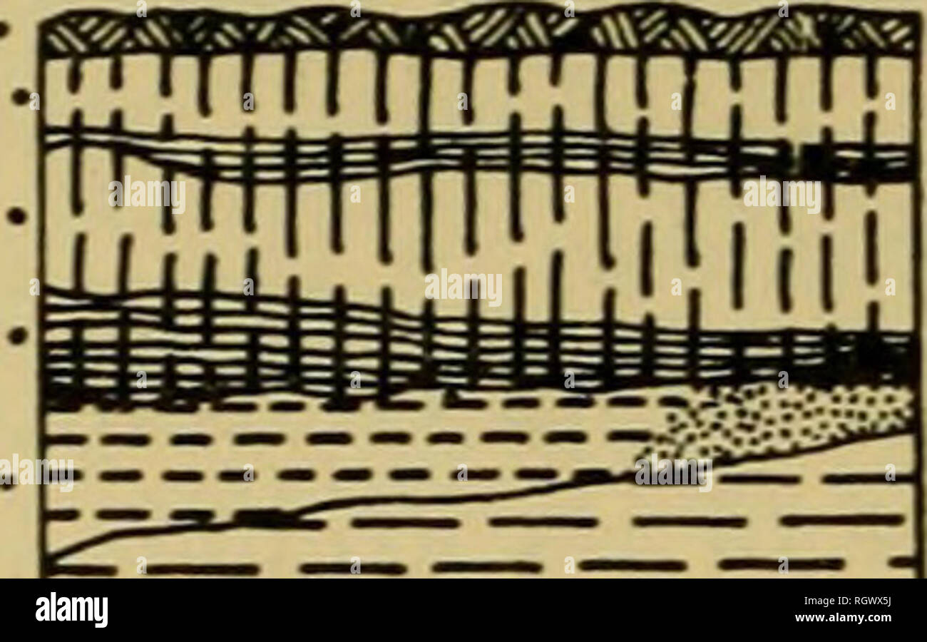 . Bulletin. De l'ethnologie. 16 Sud. Les Indiens américains [B. A. B. BuU. 143 m - Ep/'-Pluyia/- P/vi/^ Aimarvnse Corcfobense/' Une Querancfinense Lujonense. U - '/nfer-P/W/a/- -Bonaerense • P/uy/'un•Ensenadense/' ' '(/repp- nferensen supérieur- /LoHrer- rTTTTrrnTTTTTI J'&gt ;' 11 &gt ; J 1111M ! ! ! J'»» iiili j| !nul ! ! 111' ! ! !' !" !- !" ! I - '//7fer-P/c/o/a/- Chapa/MA/ens /Vut^/a/'- loiver Epi-Rumpean supérieur- Neo-Pampean Meso-Pampean Hermosense Puefchense pliocène supérieur. Veuillez noter que ces images sont extraites de la page numérisée des images qui peuvent avoir été retouchées numériquement pour plus de lisibilité - colorat Banque D'Images