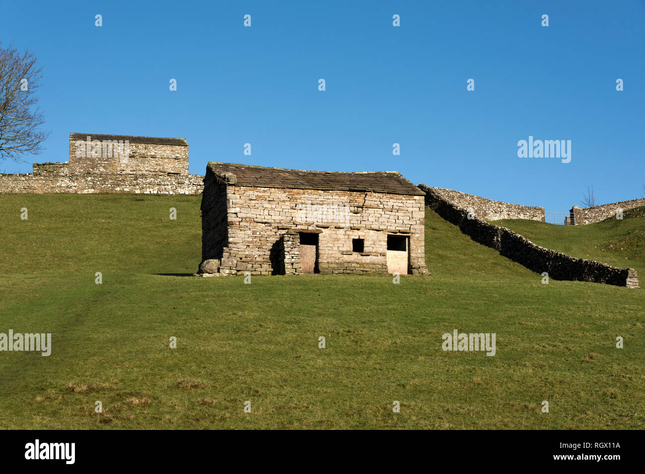 Domaine des granges en pierre traditionnelle, Sedbusk, près de Hawes, Yorkshire Dales National Park Banque D'Images