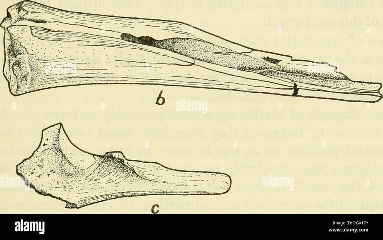 . Bulletin. De l'ethnologie. . Veuillez noter que ces images sont extraites de la page numérisée des images qui peuvent avoir été retouchées numériquement pour plus de lisibilité - coloration et l'aspect de ces illustrations ne peut pas parfaitement ressembler à l'œuvre originale.. Smithsonian Institution. Bureau of American Ethnology. Washington : G. P. O. Banque D'Images