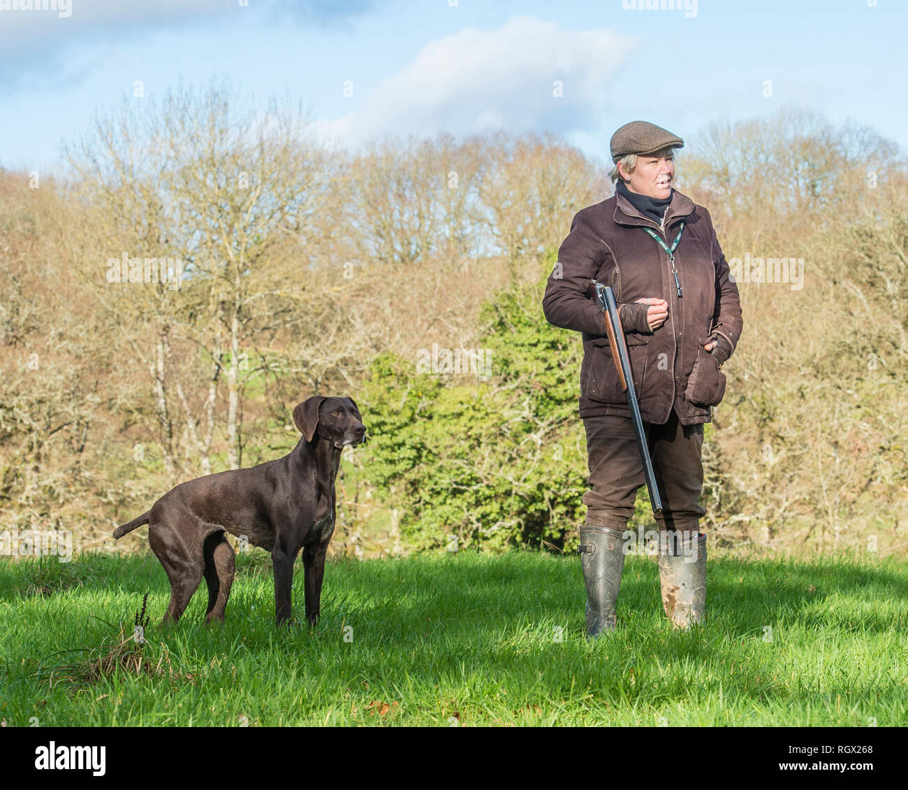 Hunter et femelle braque allemand chien Banque D'Images