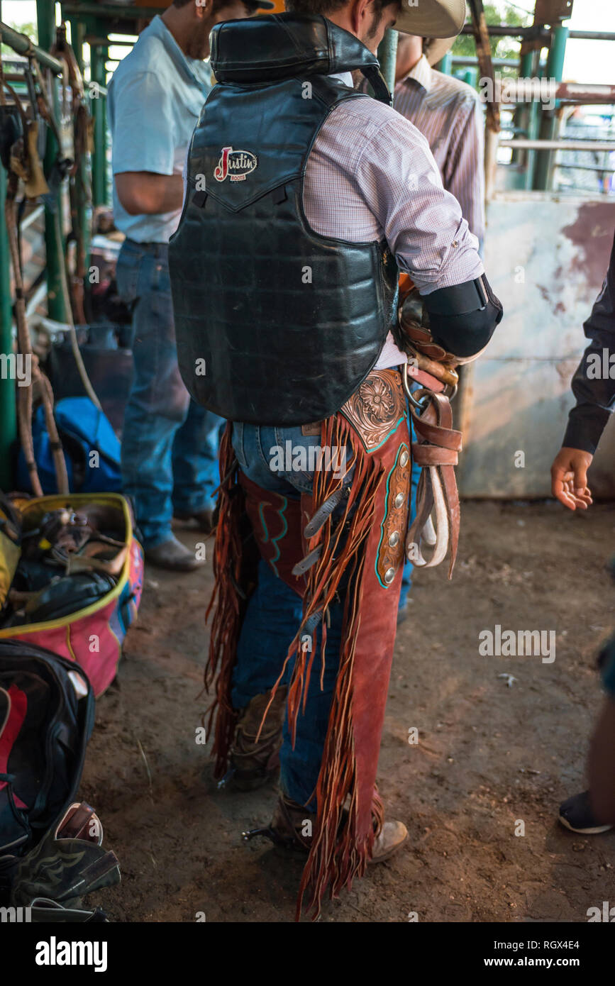 Professional Rodeo Cowboy Banque D'Images