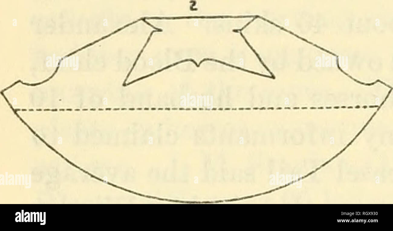 . Bulletin. De l'ethnologie. . Veuillez noter que ces images sont extraites de la page numérisée des images qui peuvent avoir été retouchées numériquement pour plus de lisibilité - coloration et l'aspect de ces illustrations ne peut pas parfaitement ressembler à l'œuvre originale.. Smithsonian Institution. Bureau of American Ethnology. Washington : G. P. O. Banque D'Images