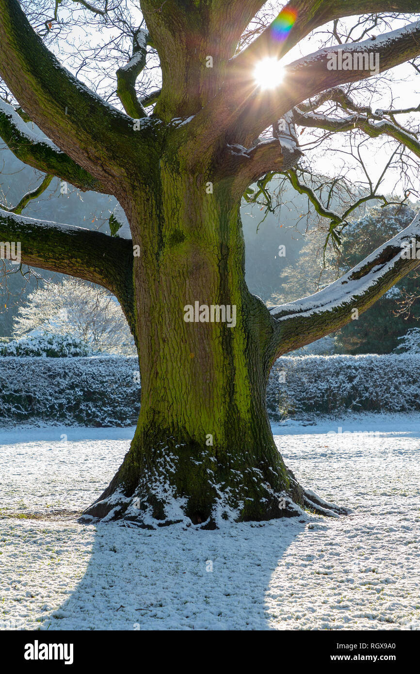 Parc du château Maison sur le terrain de château, Frodsham, Cheshire, Angleterre après une chute de neige le 30 janvier 2019 Banque D'Images