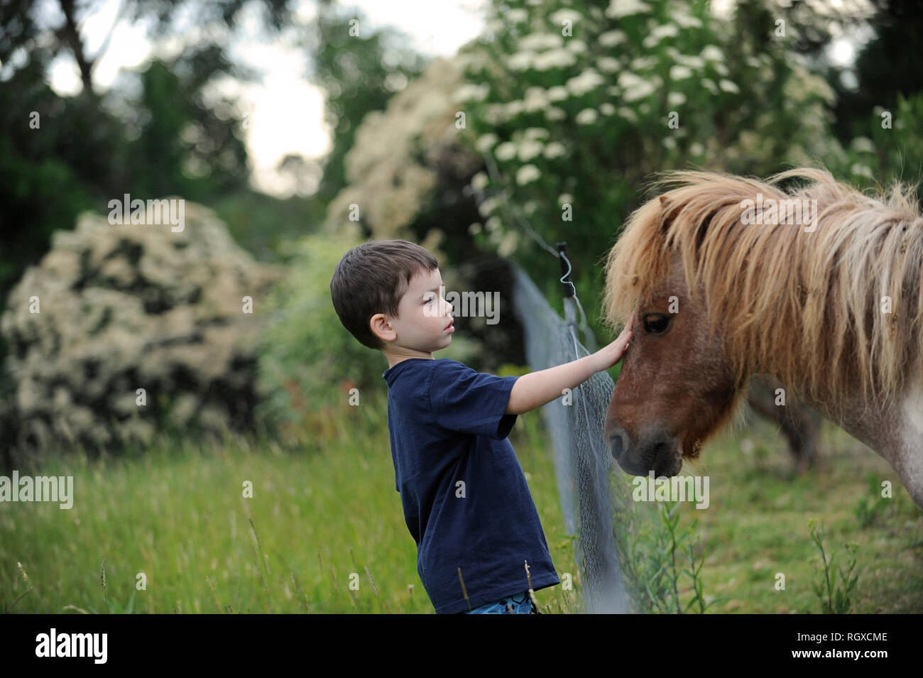 Jeune garçon avec petit poney, Tasmanie, Australie Banque D'Images