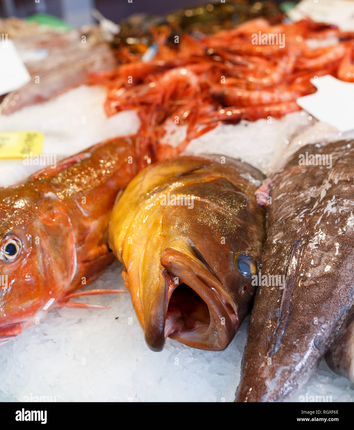 Un assortiment de produits de la pêche sur la glace pour la vente en supermarché Banque D'Images