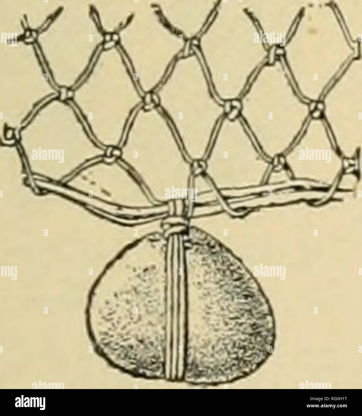 . Bulletin. De l'ethnologie. BULL. 30] FISKERNAES cinq tribus civilisées de l'épuisette 463 ETAH haïdas. (N.noir) faire en sorte que d'une manière primitive comme les tests d'origine autochtone. Un autre appareil ingénieux employé sur la n. Pacitic pour la capture de poissons de la côte se composait d'une goupille droite, forte aux deux extrémités et fixé sur une ligne ])y le milieu ; cette broche a été exécuté au moyen d'une boule morte, et, étant colleté par un autre poisson, une secousse de la chaîne a provoqué les points à percer la bouche du poisson, qui a été ensuite facilement pris de l'eau. ATtificial appât, faites de pierre et d'os, combiné a été utilisé comme un leurre, et wa Banque D'Images