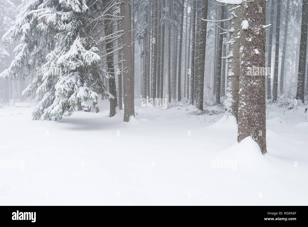 Le sud de la Forêt-Noire (en allemand : Südschwarzwald) fait référence à la partie la plus élevée de la Forêt Noire qui a été fortement transformé par la glaciation de l'âge de glace Banque D'Images