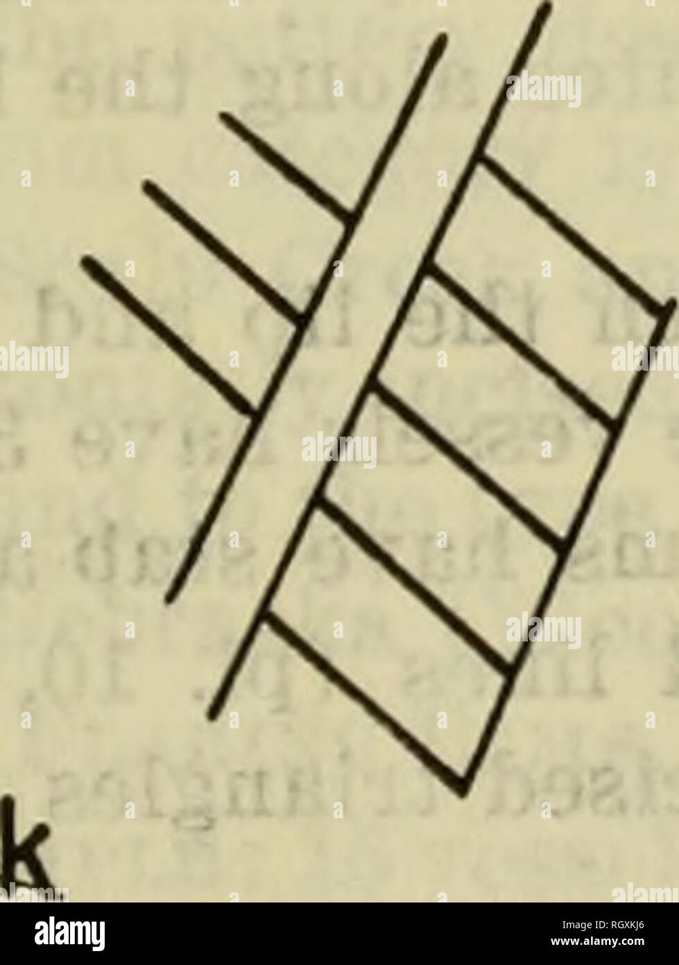 . Bulletin. De l'ethnologie. . Veuillez noter que ces images sont extraites de la page numérisée des images qui peuvent avoir été retouchées numériquement pour plus de lisibilité - coloration et l'aspect de ces illustrations ne peut pas parfaitement ressembler à l'œuvre originale.. Smithsonian Institution. Bureau of American Ethnology. Washington : G. P. O. Banque D'Images