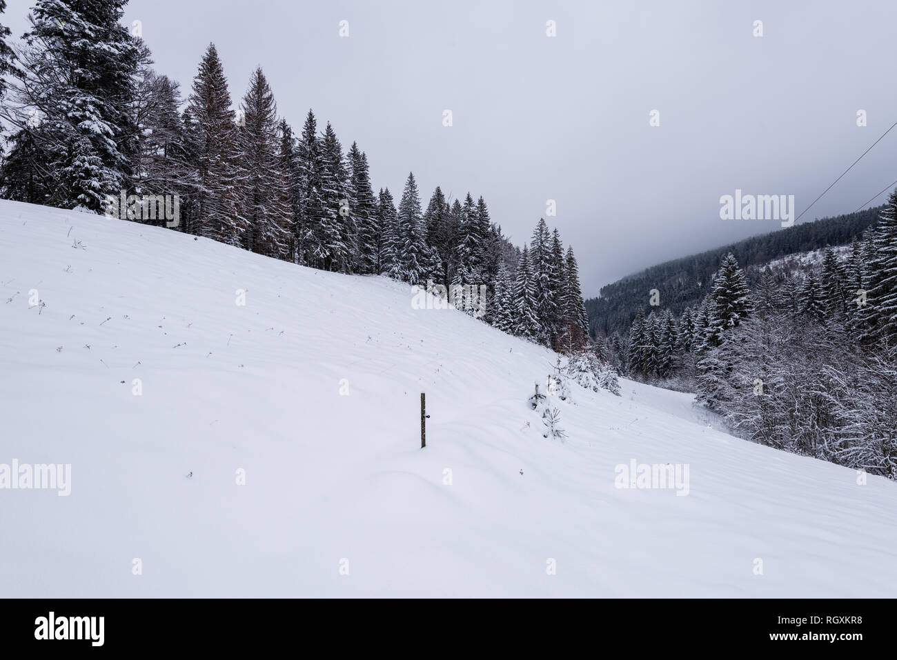 Le sud de la Forêt-Noire (en allemand : Südschwarzwald) fait référence à la partie la plus élevée de la Forêt Noire qui a été fortement transformé par la glaciation de l'âge de glace Banque D'Images