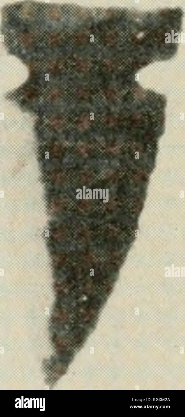 . Bulletin. De l'ethnologie. Des pointes de projectiles à partir de 25H021. (En haut à gauche est à 2,7 cm de long.). Veuillez noter que ces images sont extraites de la page numérisée des images qui peuvent avoir été retouchées numériquement pour plus de lisibilité - coloration et l'aspect de ces illustrations ne peut pas parfaitement ressembler à l'œuvre originale.. Smithsonian Institution. Bureau of American Ethnology. Washington : G. P. O. Banque D'Images