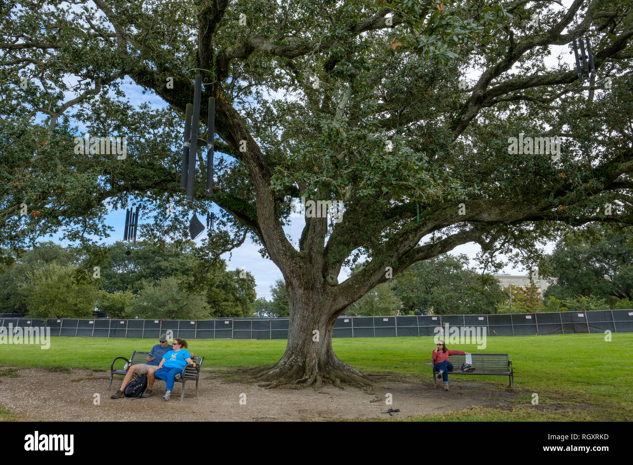 The Singing Oak Tree, ou Chime Tree, par l'artiste Jim Hart, New Orleans City Park, parc municipal de la Nouvelle-Orléans, Louisiane, États-Unis Banque D'Images