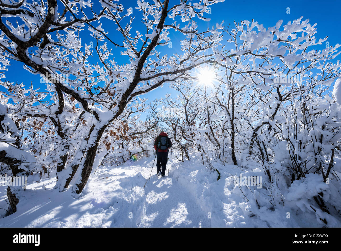 Les gens de la randonnée sur la montagne couverte de neige et Deogyusan sur les arbres Banque D'Images