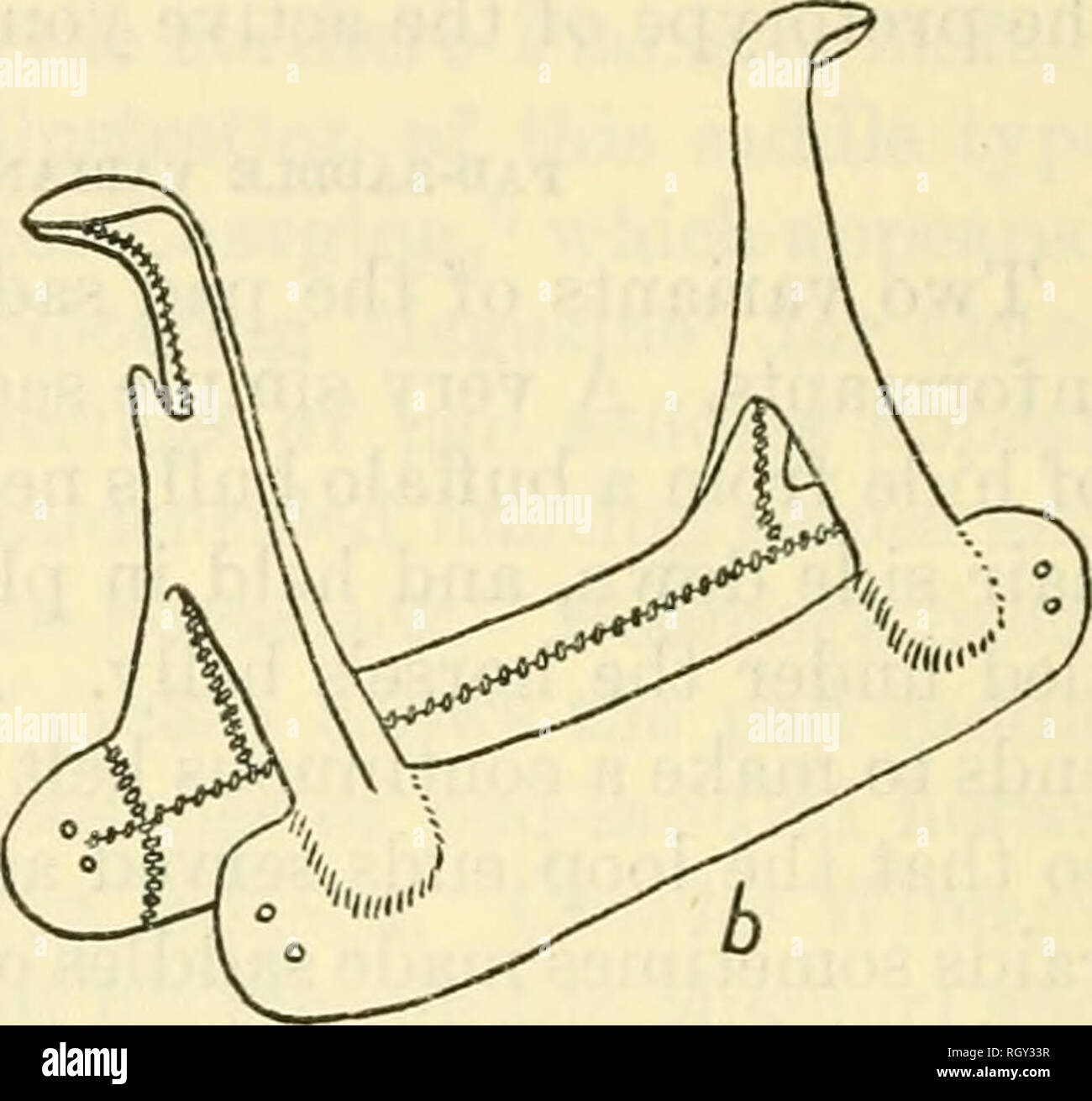 . Bulletin. De l'ethnologie. Figure 13.-Construction d'une "femme selle en bois, pied-noir". Pommeau en bois ", et troussequin prêt pour l'assemblée générale ; ft, recouvert de cuir brut assemblé selle. 20 pouces de long, et 3 ou 4 pouces de large, pour les buffets. Veau trois a dit sa mère se pencha légèrement par les buffets de la pression sur l'arbre d'un travois, tandis que le bois est encore vert. Deux fourches de cottonwood vert ont été sélectionnés avec soin pour pommeau et troussequin. On a pris soin qu'ils devraient être à peu près la même taille et que les deux broches de chaque fourche doit être d'épaisseur égale. Le haut de chaque fourche a été Banque D'Images