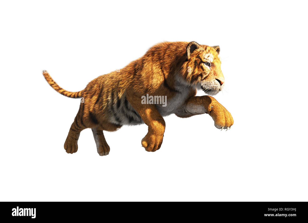 Tiger pounce isolé sur fond blanc,3d rendering Banque D'Images