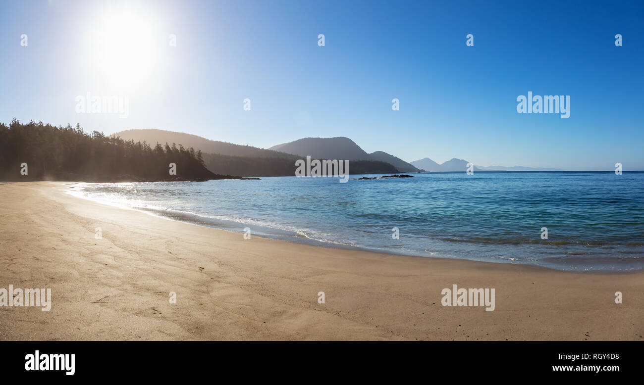 Belle plage de sable sur l'océan Pacifique lors d'un matin d'été ensoleillé. Pris dans Grant Bay Beach, dans le Nord de l'île de Vancouver, BC, Canada. Banque D'Images