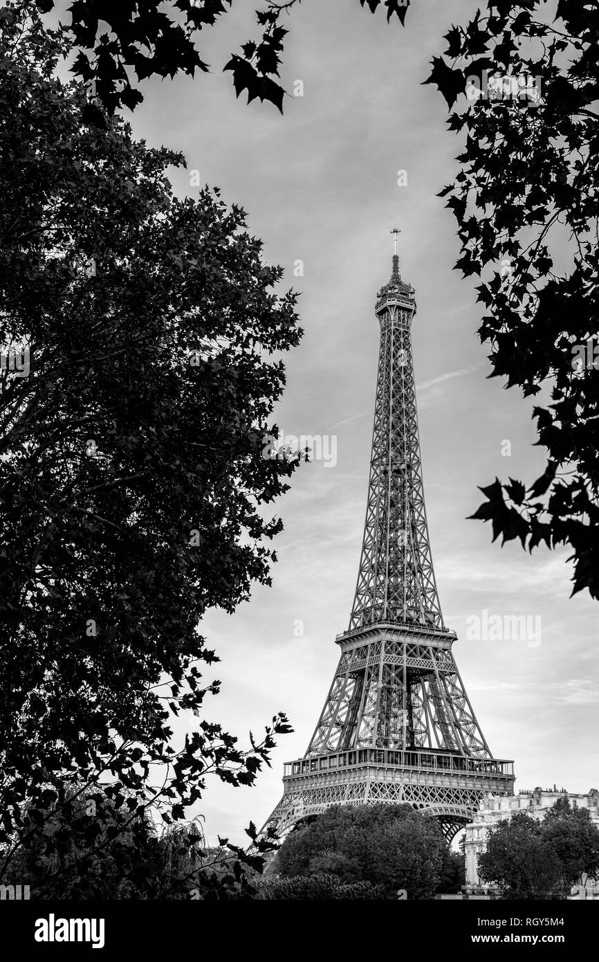 Paris, France - 30 septembre 2018 : l'affichage Tour Eiffel par arbre et les feuilles avec ciel couvert en noir et blanc. Banque D'Images