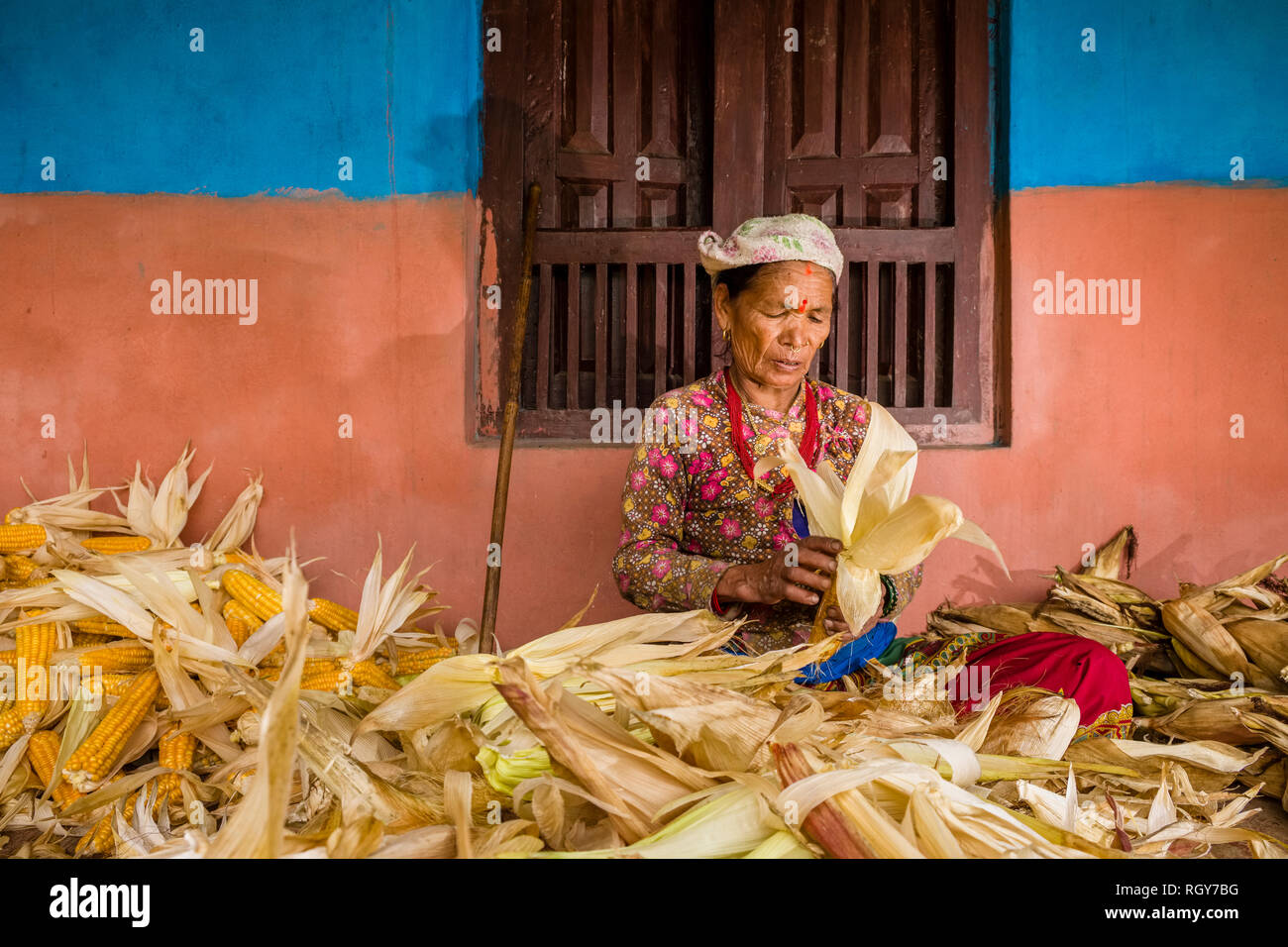 Femme de la région de la récolte de maïs en face d'une maison Banque D'Images