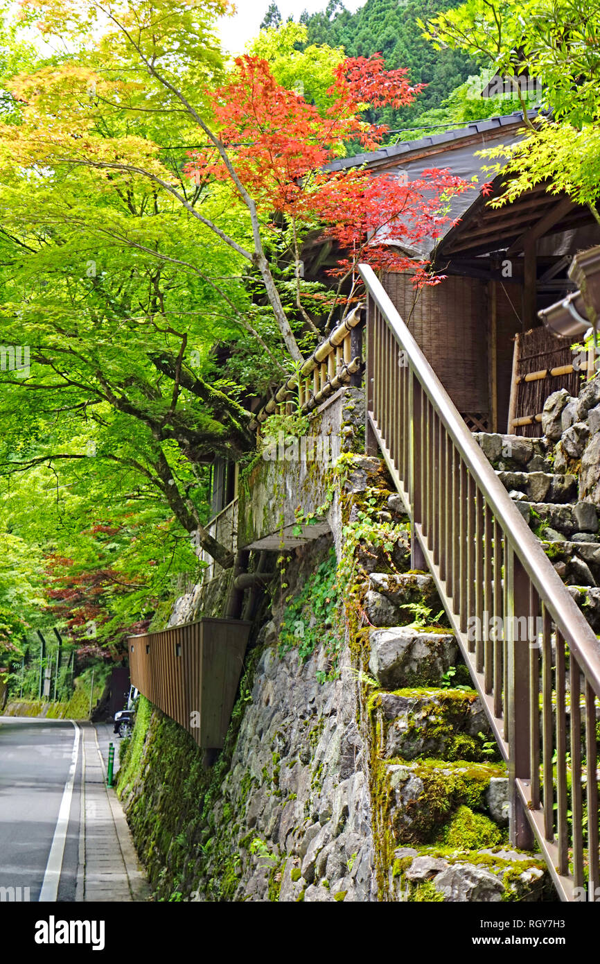Le Japon vertical bâtiment traditionnel, jardin zen, village, sentier, plantes vertes et arbres Banque D'Images