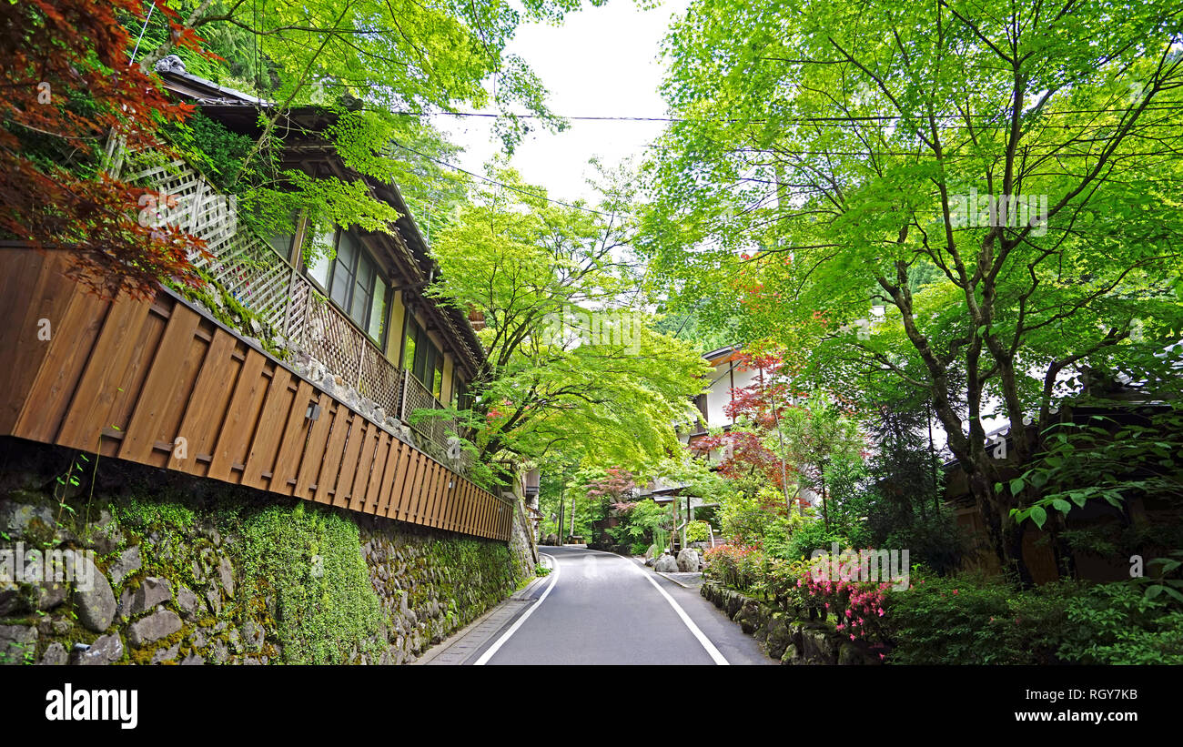 Le Japon traditionnel, jardin zen, village, sentier, plantes vertes et arbres Banque D'Images