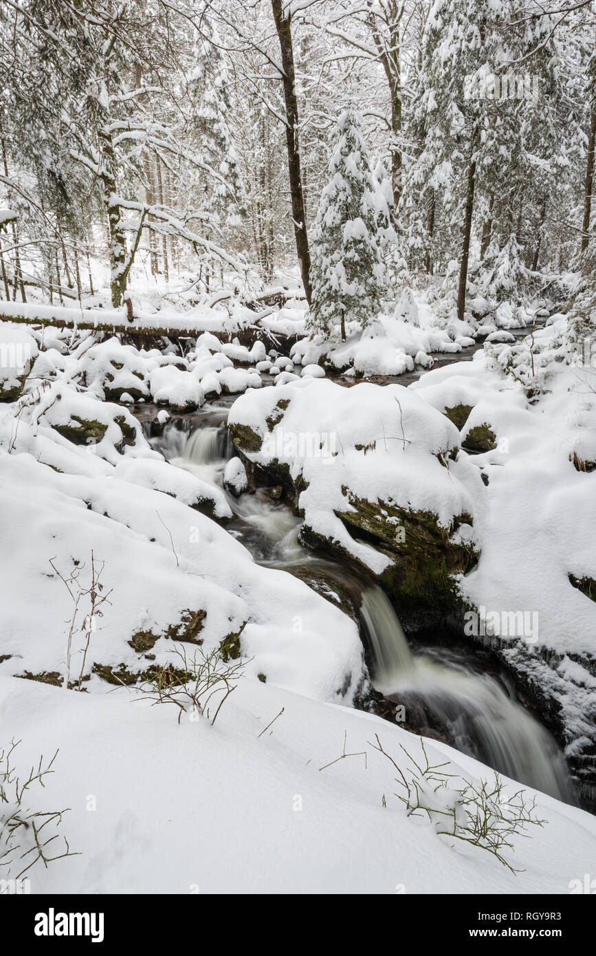 Seebach, Bärental, Schwarzwald, Allemagne Banque D'Images