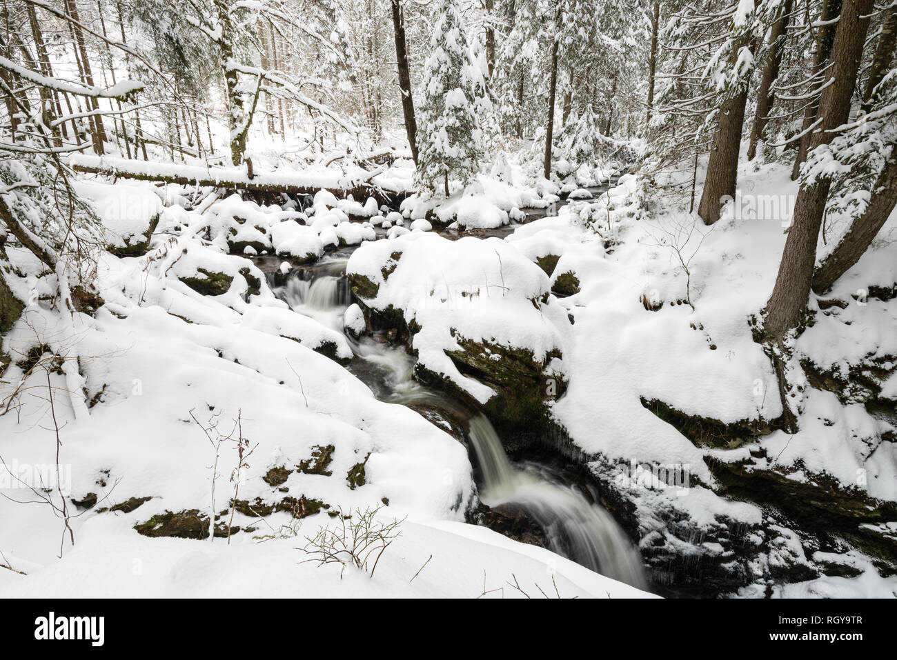 Seebach, Bärental, Schwarzwald, Allemagne Banque D'Images