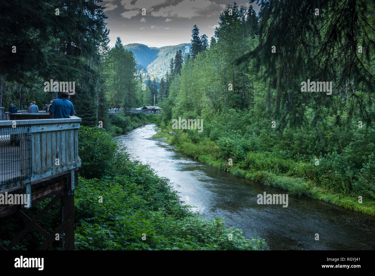 Plate-forme d'observation de l'ours de Fish Creek, Hyder, Alaska Banque D'Images