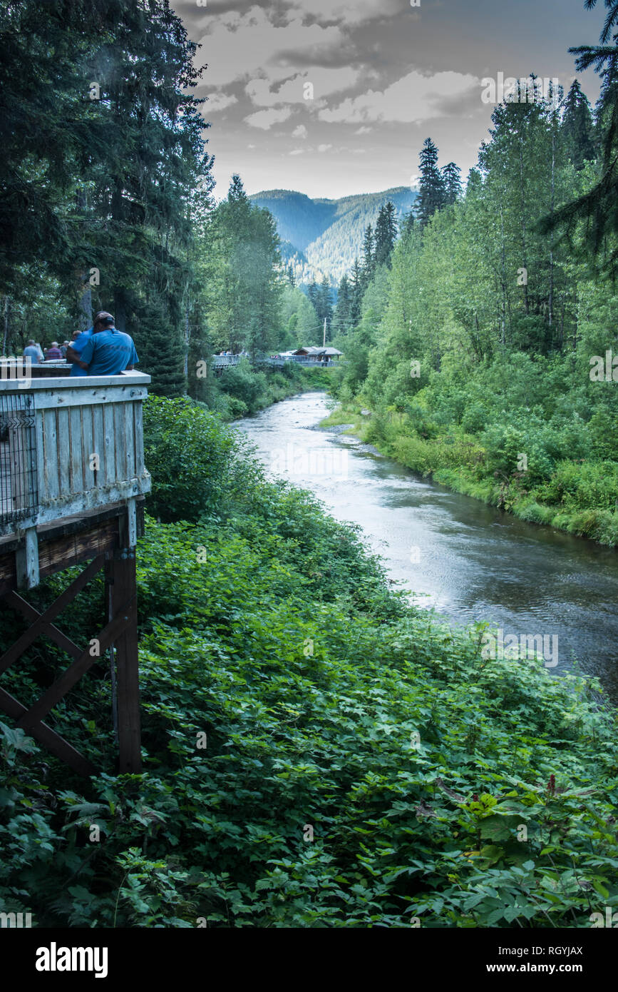 Plate-forme d'observation de l'ours de Fish Creek, Hyder, Alaska Banque D'Images