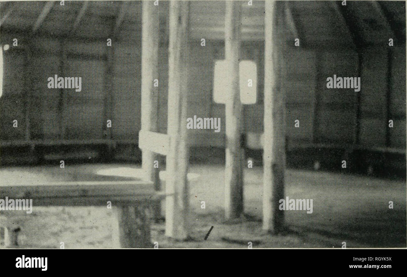 . Bulletin. De l'ethnologie. BUREAU OF American Ethnology Bulletin 146 planche 12. ^^^^ 1 . -^ -I-.§ M : â â ' : ;''t^'-J :* :*. 'Un '"^^^ MWiiiMi , â-c..iii , j' / Dance Hall, Red Lake Réservation. 1933. /, De l'intérieur. &Lt ; ?, de l'extérieur.. Veuillez noter que ces images sont extraites de la page numérisée des images qui peuvent avoir été retouchées numériquement pour plus de lisibilité - coloration et l'aspect de ces illustrations ne peut pas parfaitement ressembler à l'œuvre originale.. Smithsonian Institution. Bureau of American Ethnology. Washington : G. P. O. Banque D'Images