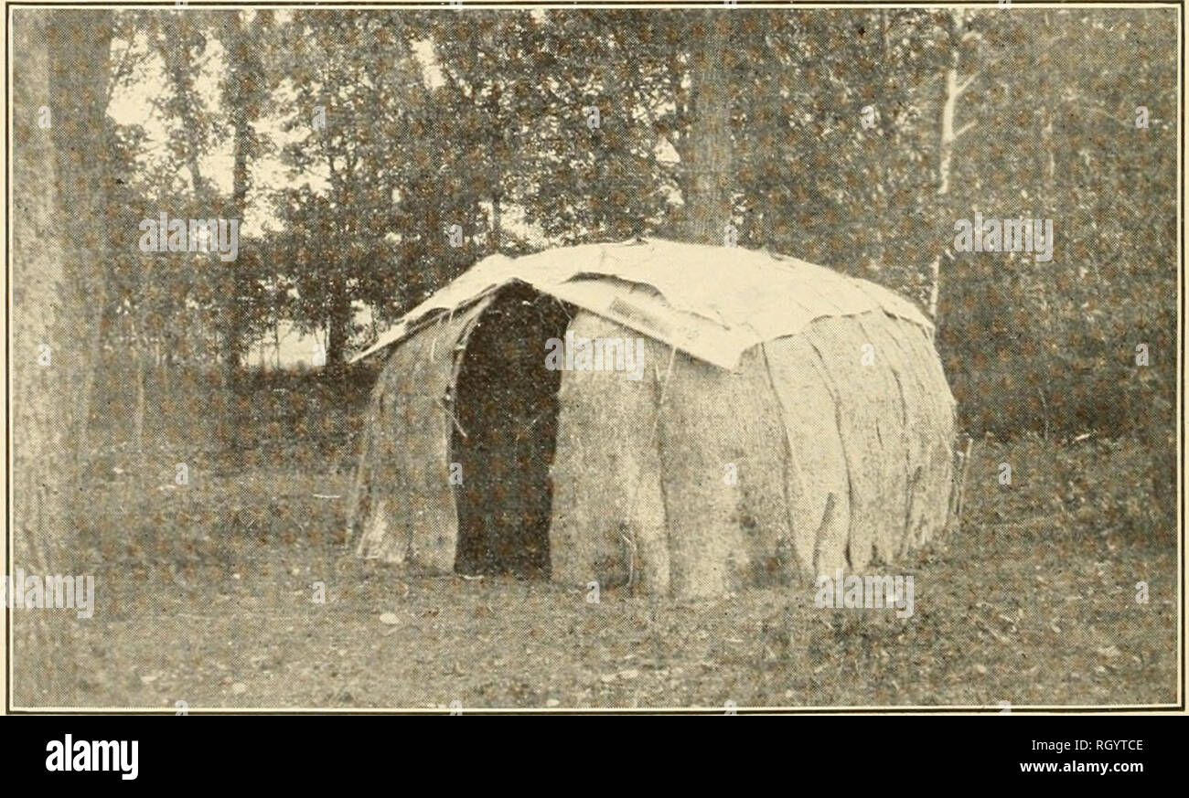 . Bulletin. De l'ethnologie. /'. Iiinaii W mise en place de l'écorce. c, Wigwam de frêne noir et d'écorce de bouleau WIGWAM EN COURS. Veuillez noter que ces images sont extraites de la page numérisée des images qui peuvent avoir été retouchées numériquement pour plus de lisibilité - coloration et l'aspect de ces illustrations ne peut pas parfaitement ressembler à l'œuvre originale.. Smithsonian Institution. Bureau of American Ethnology. Washington : G. P. O. Banque D'Images