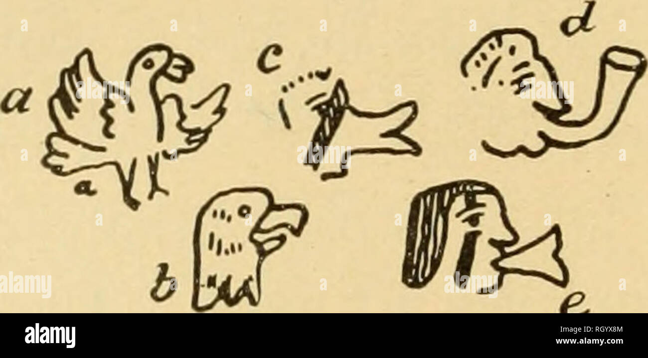 . Bulletin. De l'ethnologie. 184 BUREAU OF AMERICAN ETHNOLOGY (bull. Ces 28 i-epresentations de guerre et la capture est bordée sur le côté droit du fragment par une autre série d'images à angle droit par rapport à l'ancienne. Ici, un peu maladroitement et grossièrement exécutée, est une série de hiéroglyphes, avant chaque lieu de ce qui est appelée une personne- âge assis sur une chaise, qui doit être destiné à l'ancêtre de la tribu s'installe à cet endroit. La plupart de ces personnages semblent tenir des fleurs dans leurs mains, sans doute pour exprimer la jouissance paisible, sécurisé donc dominion. Le roi dans le Codex Vaticanus A, page 86, Banque D'Images