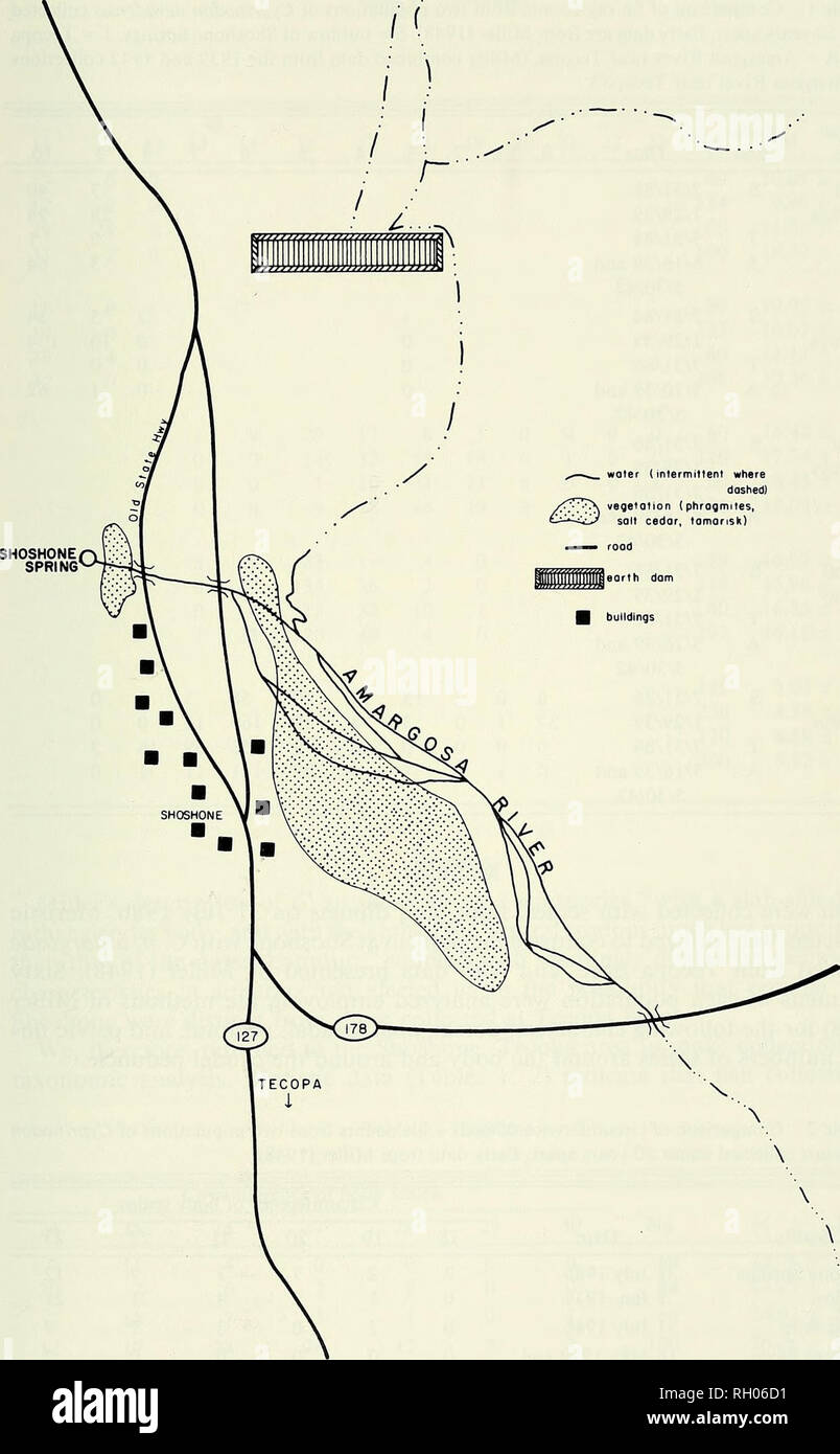 . Bulletin. La science ; natural history ; histoire naturelle. woler (interiniltent vegelotlon où en pointillés) (phrogmites, sel cedor, tamaris). Fig. 1. Croquis de ressorts Shoshone, le ruisseau de sortie et le lit de la rivière Amargosa.. Veuillez noter que ces images sont extraites de la page numérisée des images qui peuvent avoir été retouchées numériquement pour plus de lisibilité - coloration et l'aspect de ces illustrations ne peut pas parfaitement ressembler à l'œuvre originale.. Le sud de l'Académie des Sciences de Californie. Los Angeles, Californie : l'Académie Banque D'Images