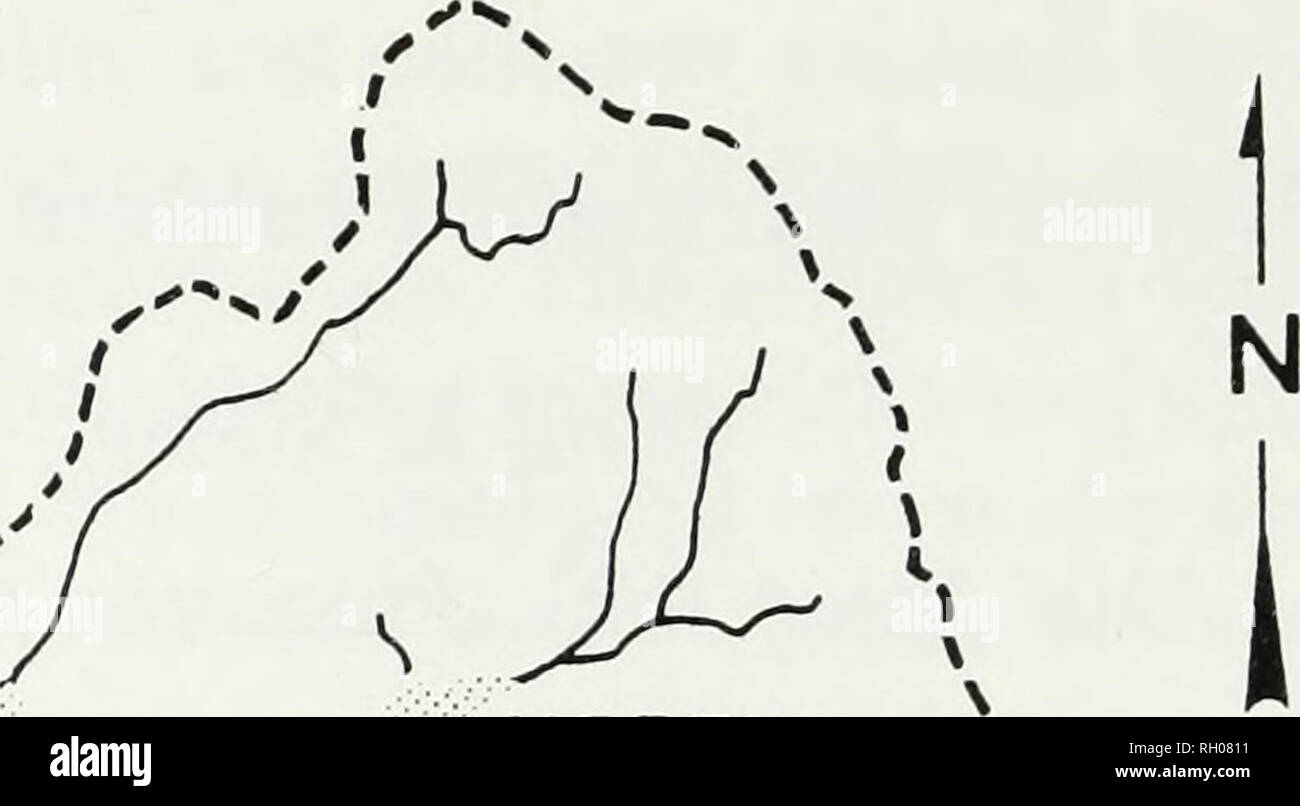 . Bulletin. La science. Le sud de l'Académie des Sciences de Californie BARRET INFÉRIEUR barrage réservoir y OTAY. Veuillez noter que ces images sont extraites de la page numérisée des images qui peuvent avoir été retouchées numériquement pour plus de lisibilité - coloration et l'aspect de ces illustrations ne peut pas parfaitement ressembler à l'œuvre originale.. Le sud de l'Académie des Sciences de Californie. Los Angeles, Californie : l'Académie Banque D'Images