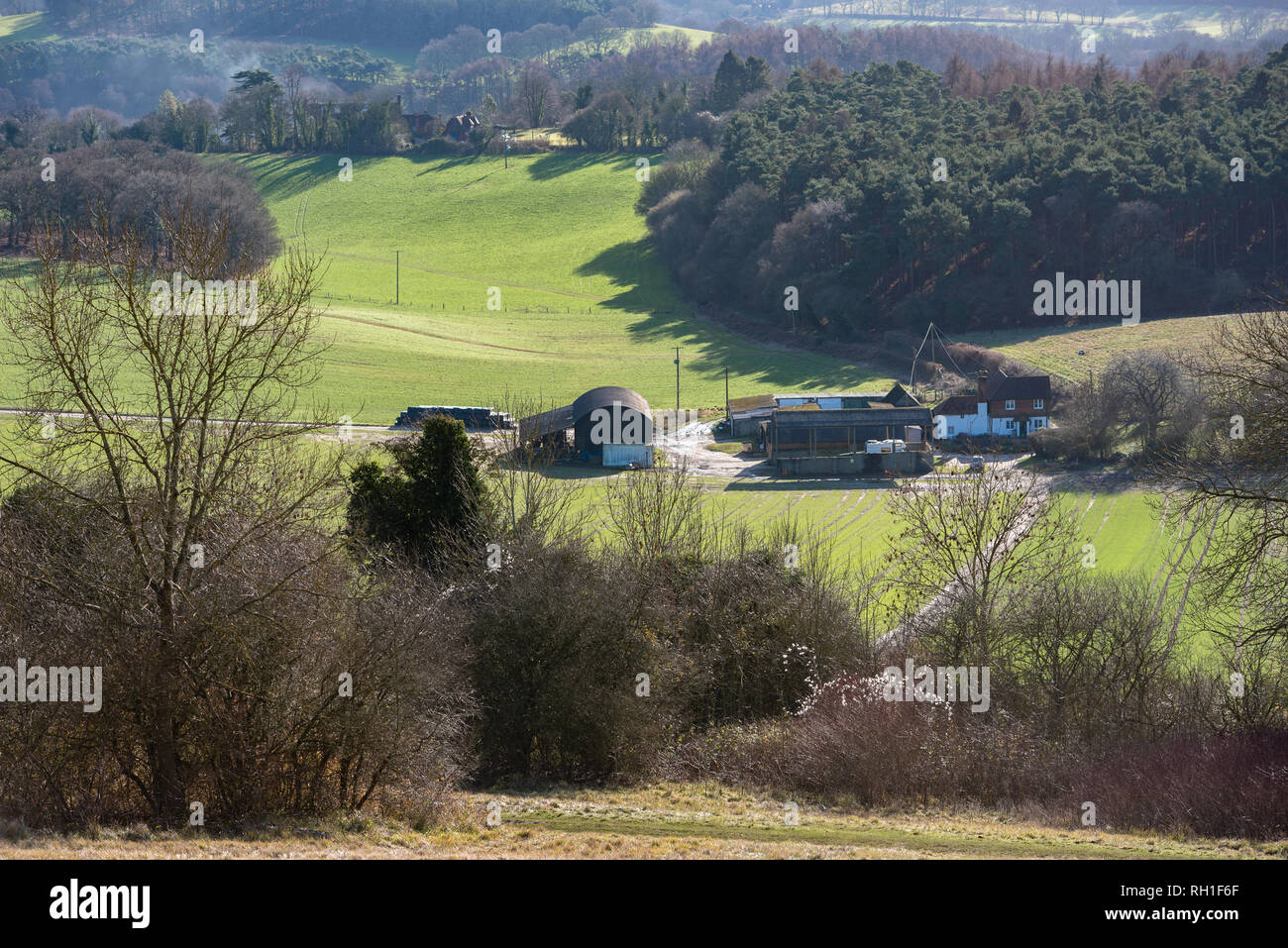 Vue sur les collines du Surrey de Newlands Corner sous le soleil d'hiver de l'après-midi. Banque D'Images