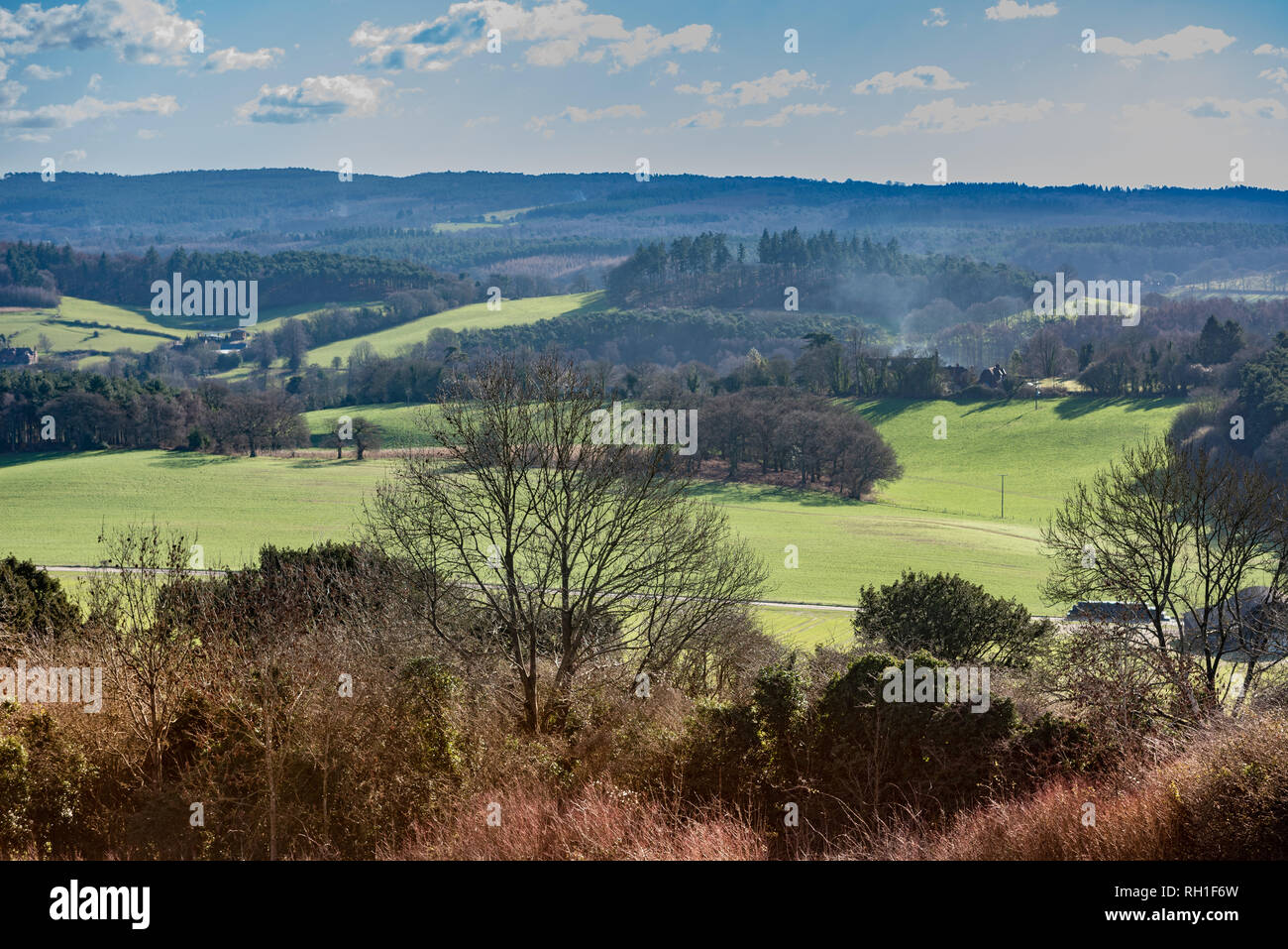 Vue sur les collines du Surrey de Newlands Corner sous le soleil d'hiver de l'après-midi. Banque D'Images