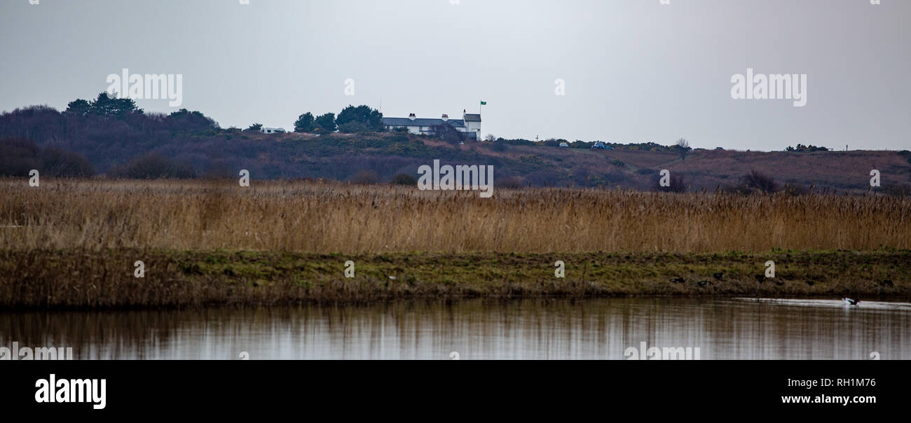 Réserve Naturelle de Minsmere Banque D'Images