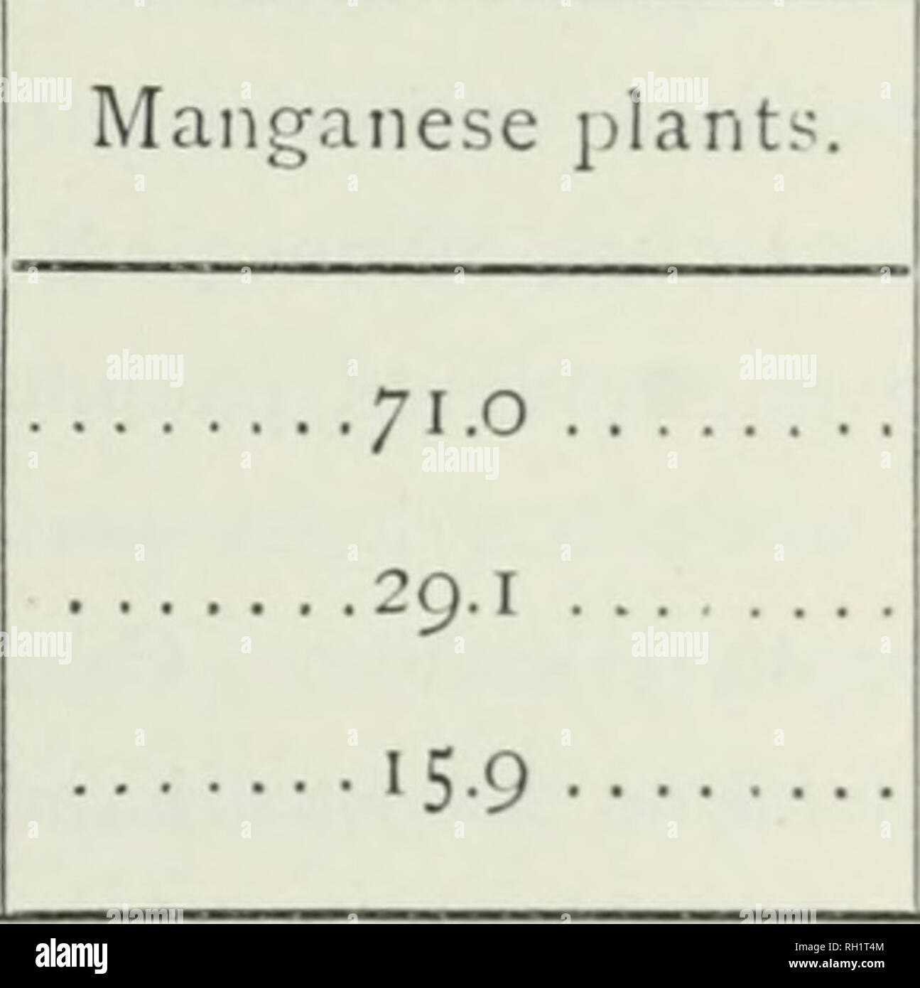 . Bulletin. L'agriculture. Adioii Miiiii llic huile d^Aiieso ( *)III|mmiii. 169 solution hautement diluée de sulfate manganeux ir mars et 25 avril ; 14, 21 et 28 ; et le 6 mai. Le montant total de ce sel est de 0,036 g. ; les deux premières fois aussi o.ooi. g Sulfate de fer dissous dans l'ico cc. d'eau a été ajouté. Flowcrincj les plantes a commencé le 22 avril, les fruits mûrs ont été récoltés le 2 juin. Une photographie, prise le 17 mai (voir planche XII.), présente le développement plus luxuriante sous l'influence du manganèse très bien. Les fruits mûrs ont été pesés à l'état frais, d'autres l'AEP Banque D'Images