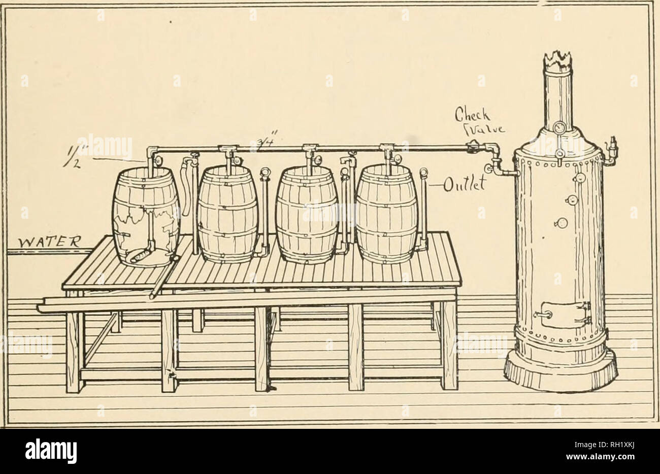 . Bulletin ... . 45. plaque. Veuillez noter que ces images sont extraites de la page numérisée des images qui peuvent avoir été retouchées numériquement pour plus de lisibilité - coloration et l'aspect de ces illustrations ne peut pas parfaitement ressembler à l'œuvre originale.. New York (État) Bureau de l'inspection de l'horticulture. [From old catalog]. Albany Banque D'Images