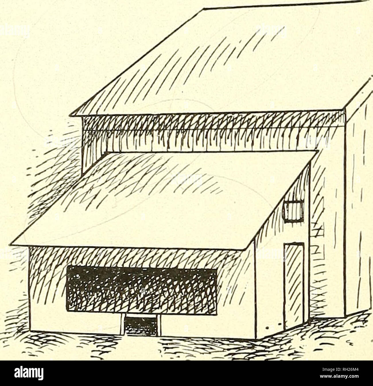 Construit Et Utilisé Par Poultrymen La Volaille Construit