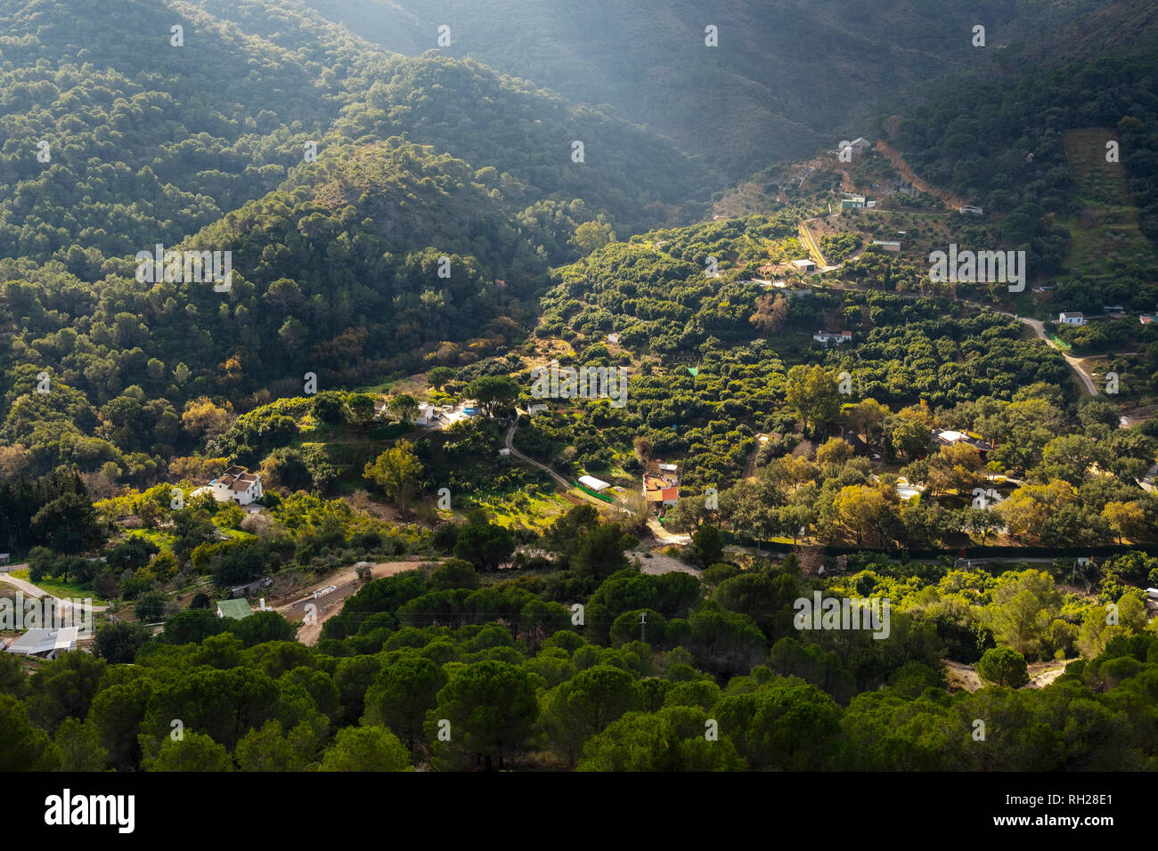Nature Paysage. Sierra de Ojen. La province de Malaga, Andalousie. Espagne Europe Banque D'Images