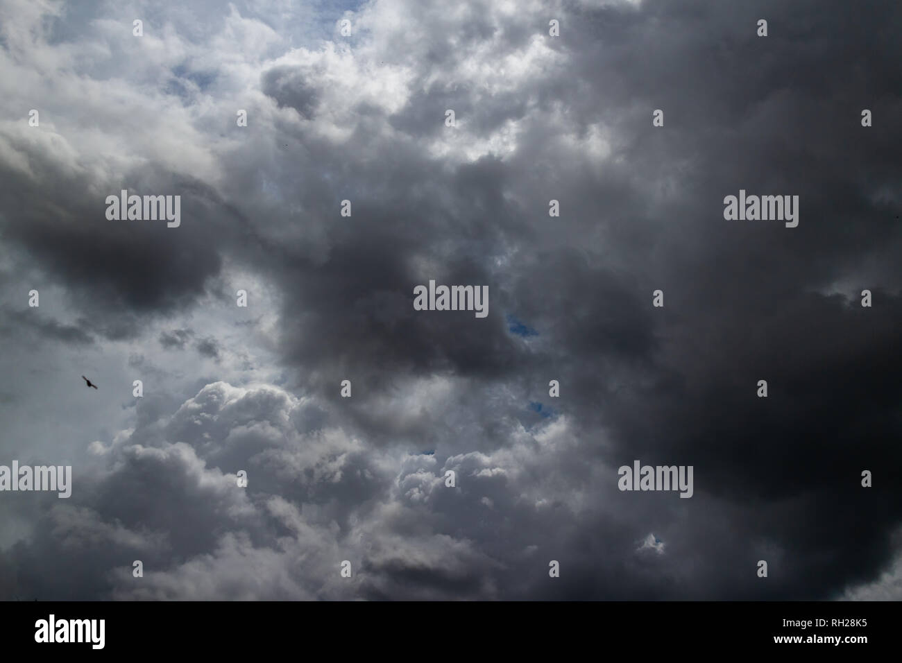 Ciel d'orage sombre. Les nuages sombres. Temps couvert Banque D'Images