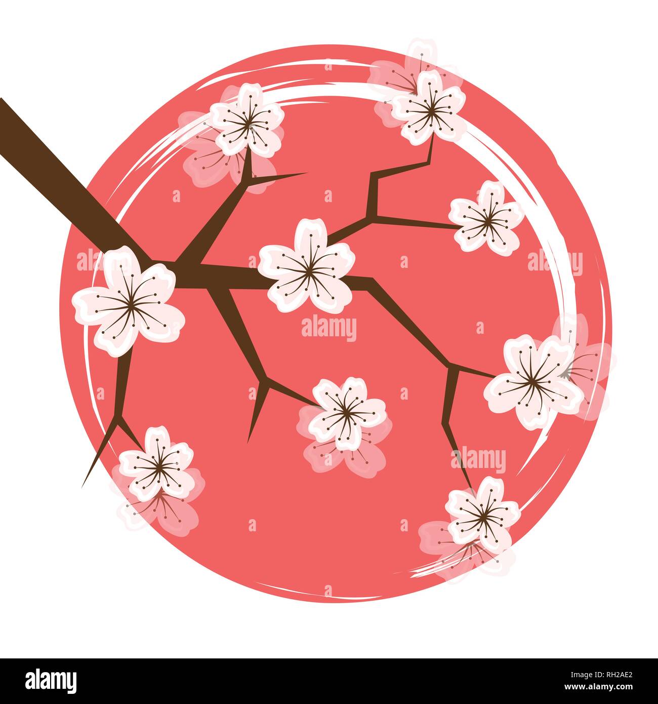 Cerise printemps fleurs à pétales blancs dans un cercle rose vector illustration EPS10 Illustration de Vecteur