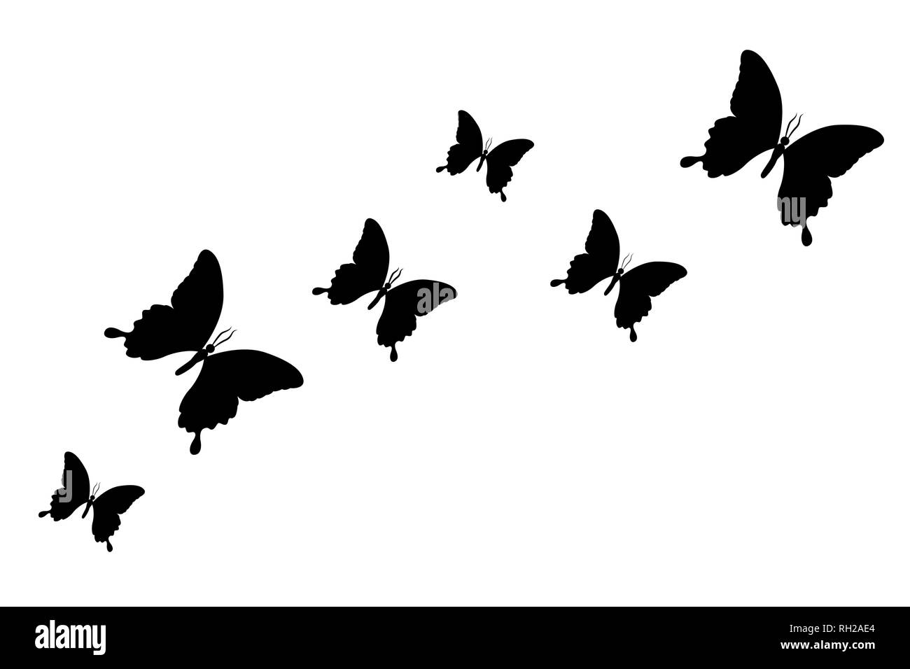 Jeu de black butterfly ossature isolé sur un fond blanc vector illustration EPS10 Illustration de Vecteur
