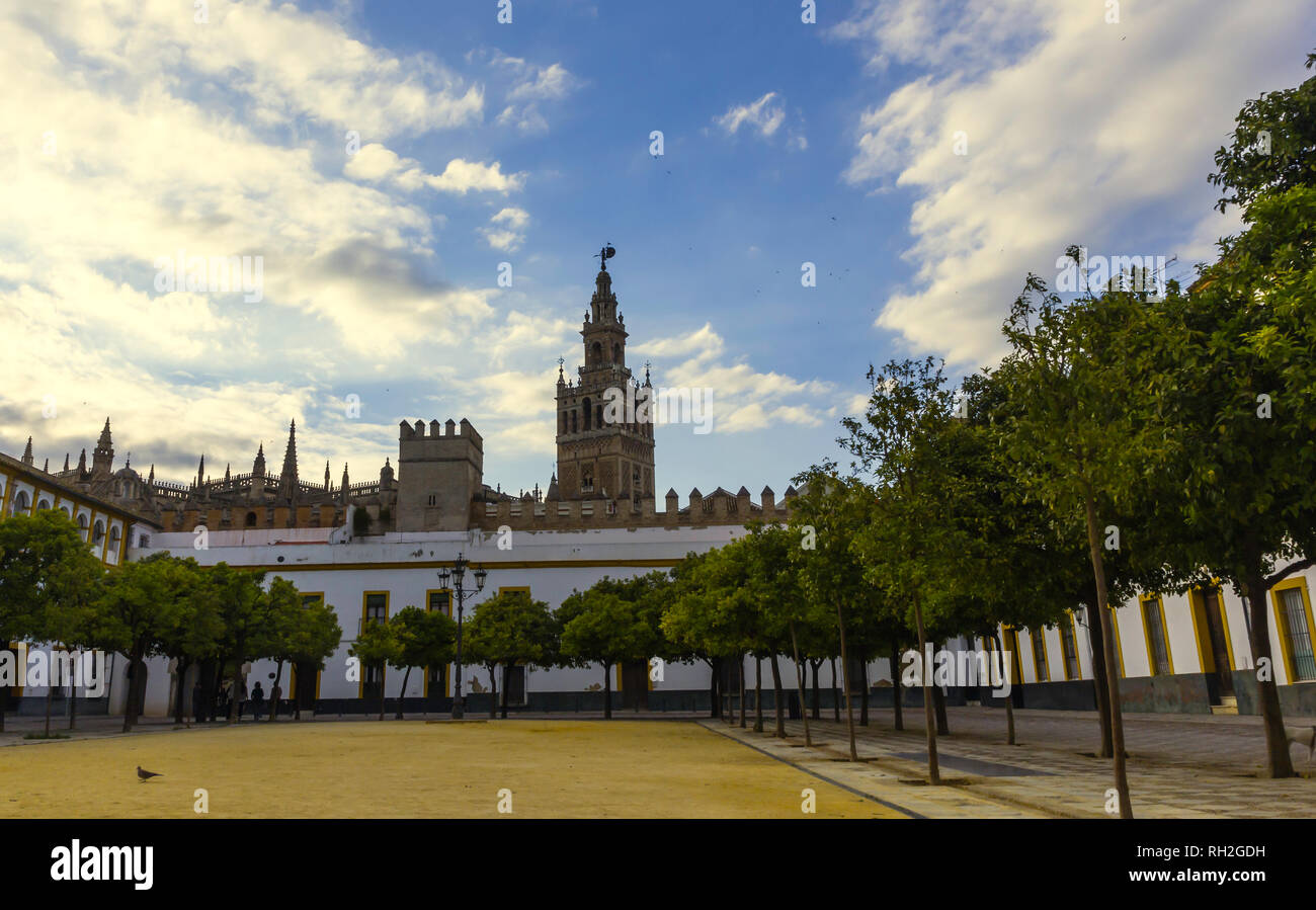 Vue sur la Giralda de la Plaza del Patio de Banderas d'orangers - Séville, Andalousie, Espagne , ciel bleu avec des nuages en arrière-plan Banque D'Images