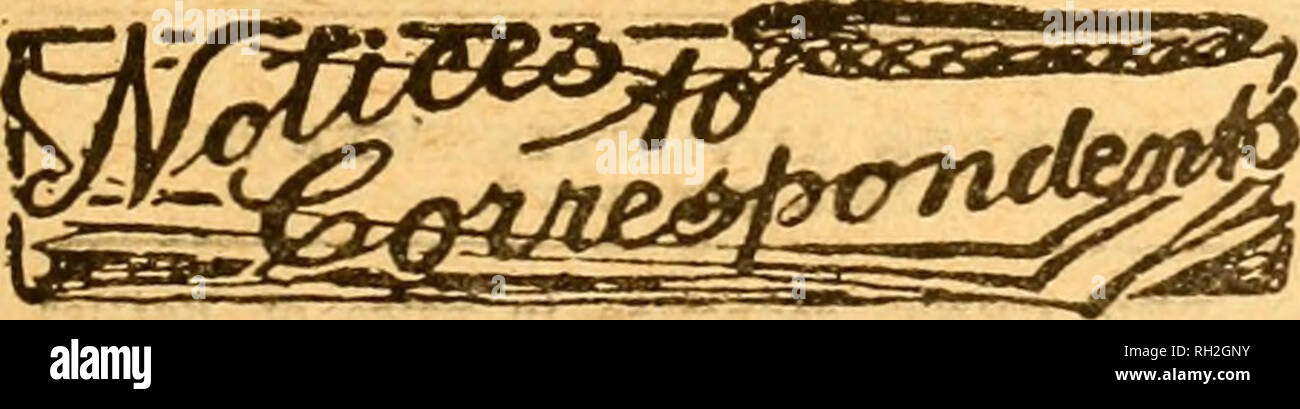 . British bee journal &AMP ; conseiller les apiculteurs. Les abeilles. Le 25 août 1921. La BRITISH BEE JOURNAL. 397 James W. Eunson, Édimbourg. William H. "Menmuii. Édimbourg. Alexander White, Gumnock. John Scouller, Cardonald.* Manchester and District Bee- Keepers' Association. Au cours des visites apicole juillet ont été payés à Gatley, Audenshaw, et Carrington, districts .tout à fait distinctes l'une de l'autre-Gatley en bordure de champs fertiles, les jardins maraîchers et vergers ; Audenshaw, avec ses usines de coton, puits de charbon, la brique crofts, et conseils de laitier ; Carrington, un recyclage de tourbière. Ils ont une chose en commun-ruche d'abeilles Banque D'Images