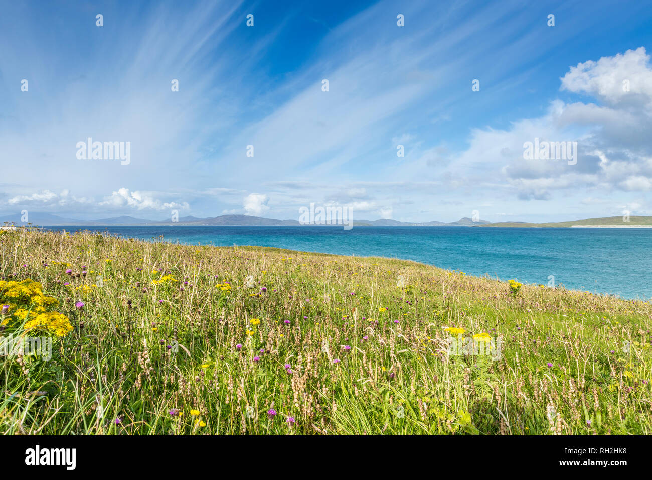 Seascape idyllique avec wildflower Meadow, à l'île de Barra, îles Hébrides, Ecosse, Royaume-Uni Banque D'Images