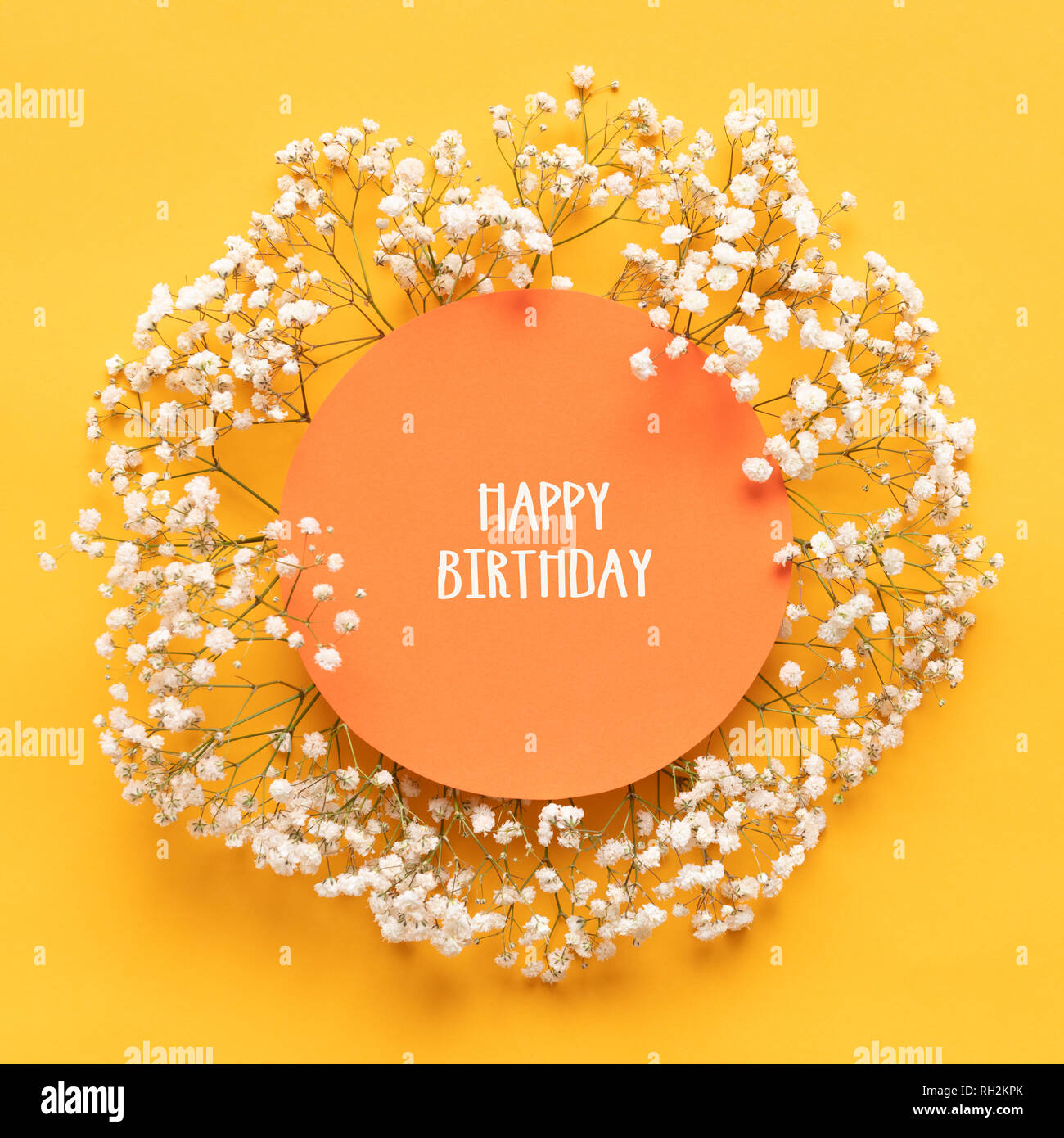 Joyeux Anniversaire Carte Carte De Vœux Laics Plat Avec De Belles Petites Fleurs Blanches Sur Fond De Papier Jaune Vif Photo Stock Alamy Joyeux Anniversaire Carte Carte De Vœux Laics Plat Avec De Belles Petites Fleurs Blanches Sur Fond De Papier Jaune Vif Photo Stock Alamy