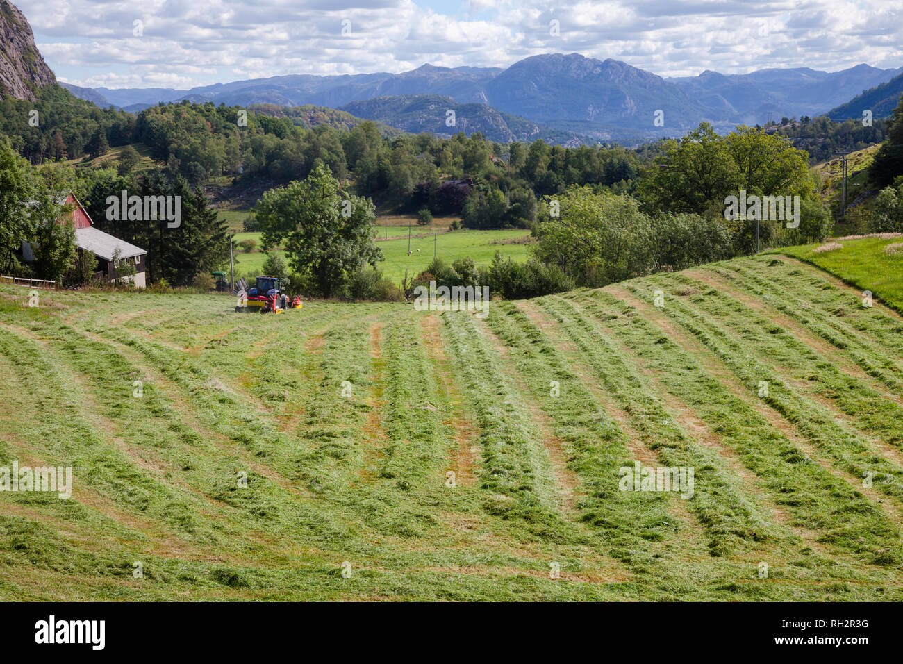 Paysage rural norvégien avec tracteur faisant les andains de foin fraîchement coupé à sec avant d'être mis en balles Norvège Scandinavie Banque D'Images