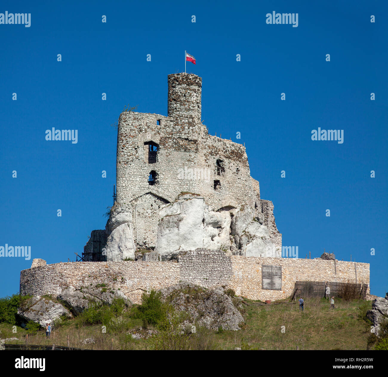 Ruines du château de Mirow à côté de Castel à Szczecin. Château dans le village de Mirow en Pologne, Jura Krakowsko-Czestochowska. Château en nids d'aigle Banque D'Images